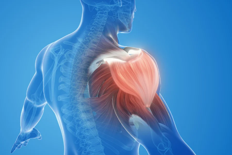 Omuz Artroskopisi Nedir? Hangi Omuz Hastalıklarında Uygulanır?