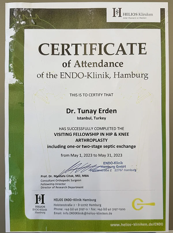 Visiting Fellowship in Hip & Knee Arthroplasty